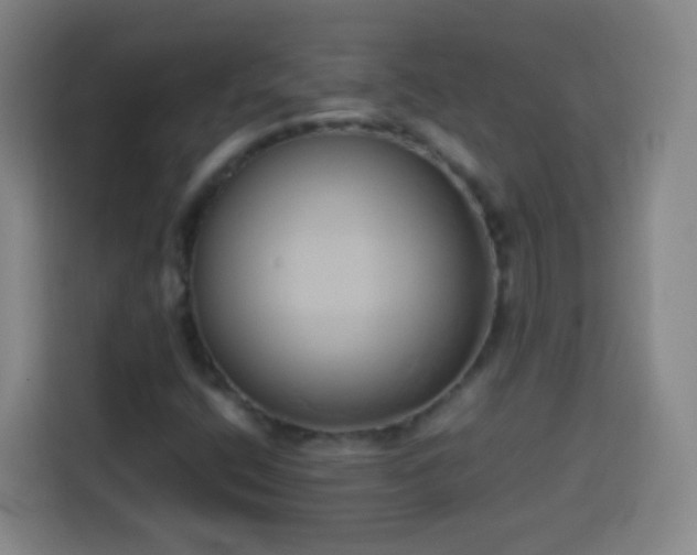 X0000113931400200910021233