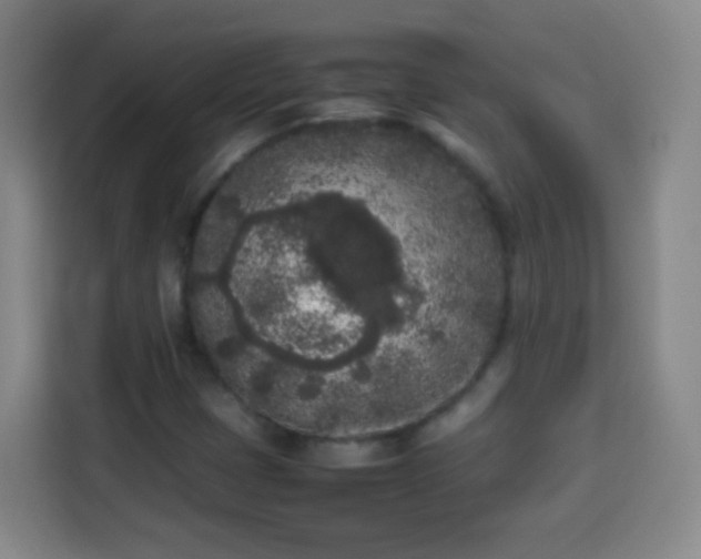 X0000113931401200910021233
