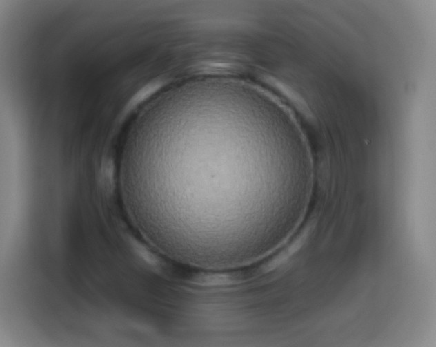 X0000113931402200910021233