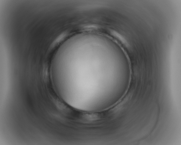 X0000113931403200910021233