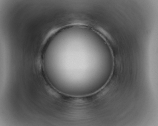 X0000113931408200910021233