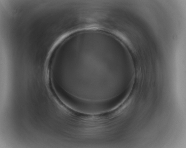 X0000113931414200910021233