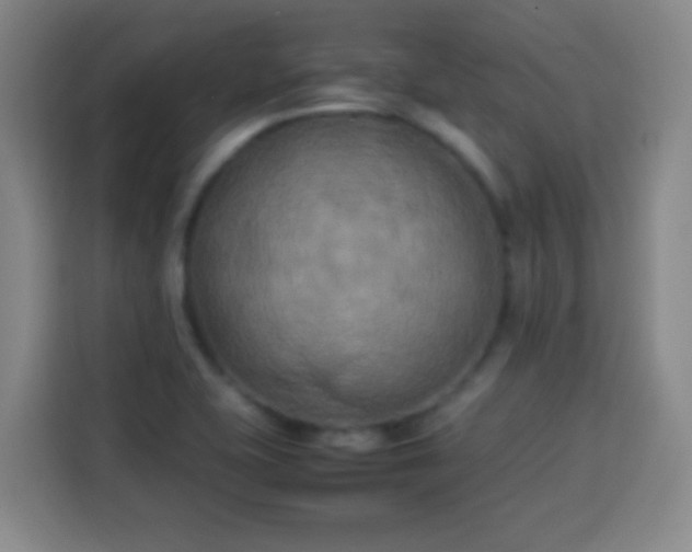 X0000113931415200910021233