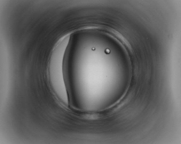 X0000113931417200910021233