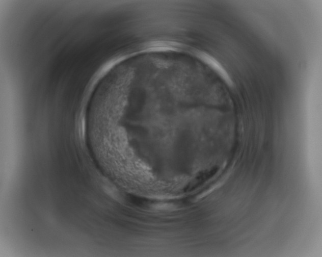 X0000113931419200910021233