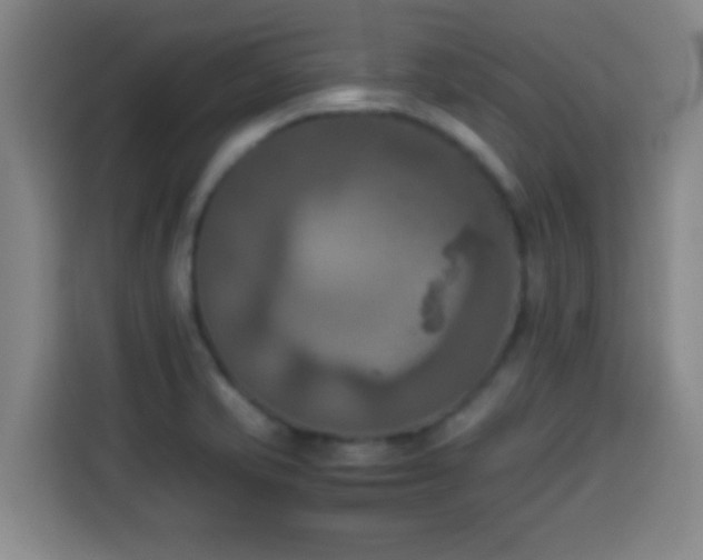 X0000113931421200910021233