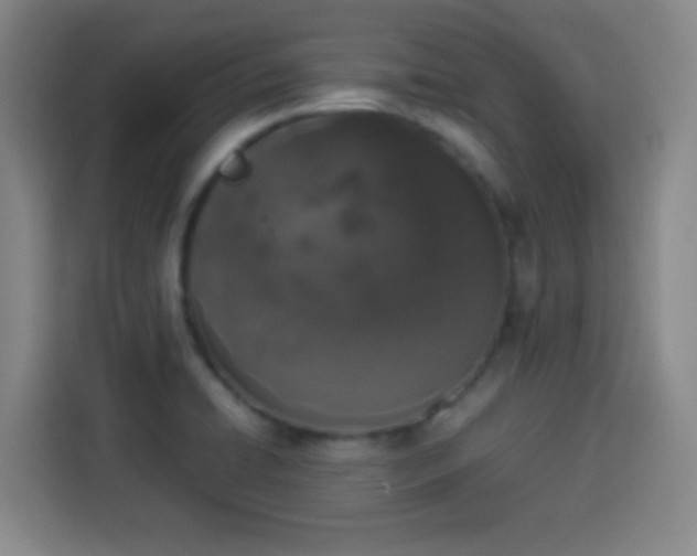 X0000113931422200910021233