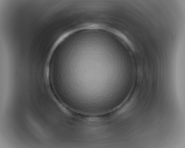 X0000113931424200910021233
