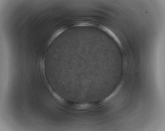 X0000113931425200910021233