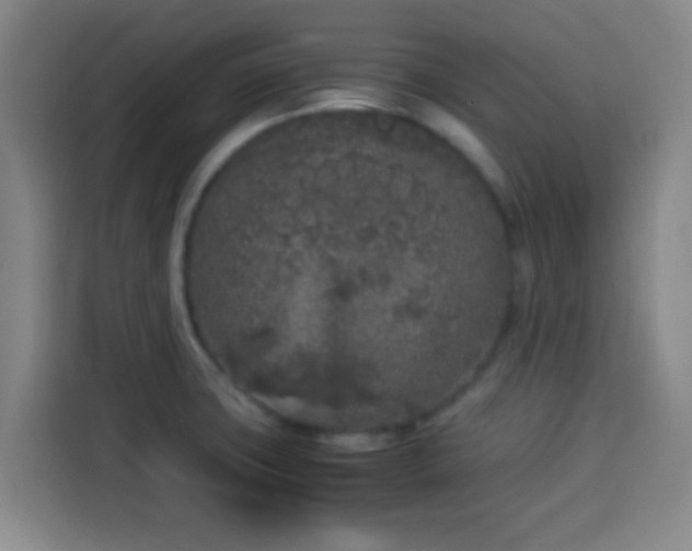 X0000113931427200910021233