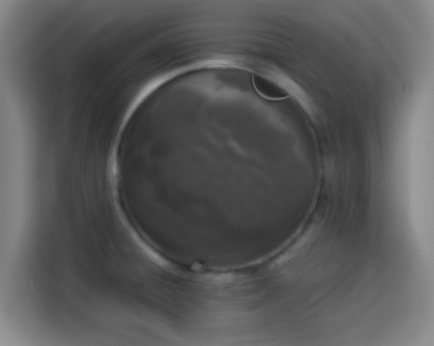X0000113931428200910021233