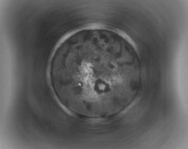 X0000113931429200910021233