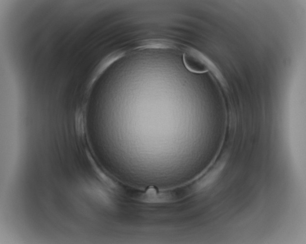X0000113931433200910021233