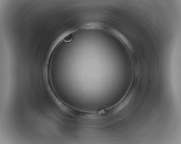 X0000113931434200910021233