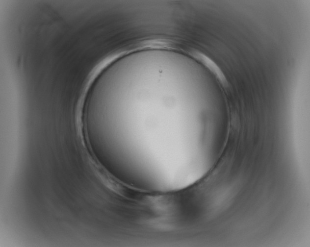 X0000113931435200910021233