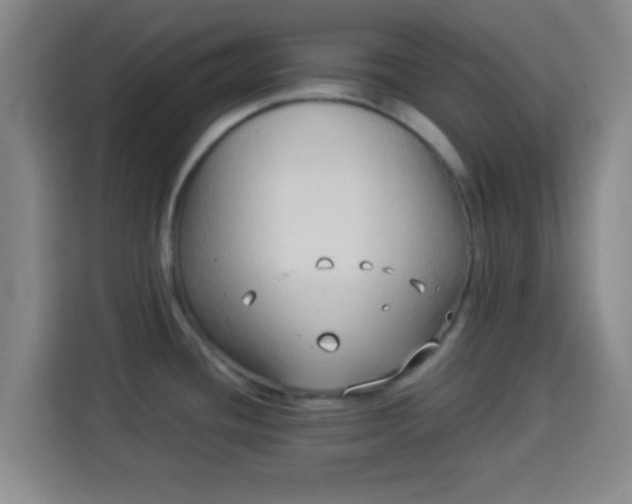X0000113931436200910021233
