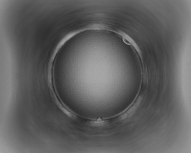 X0000113931437200910021233