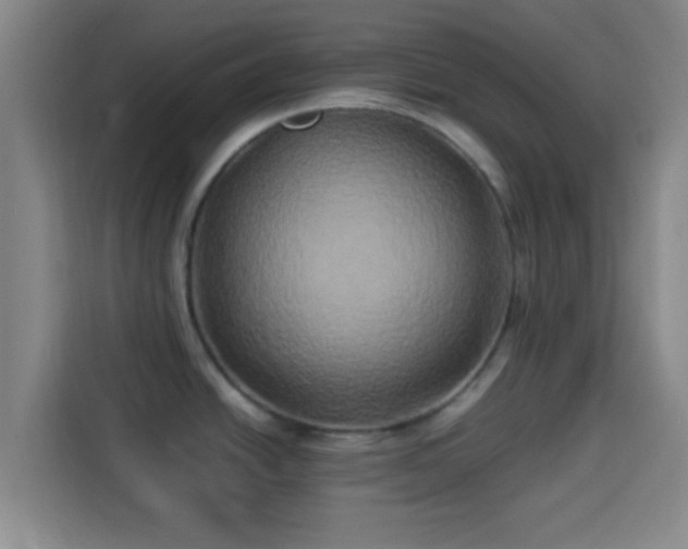 X0000113931438200910021233