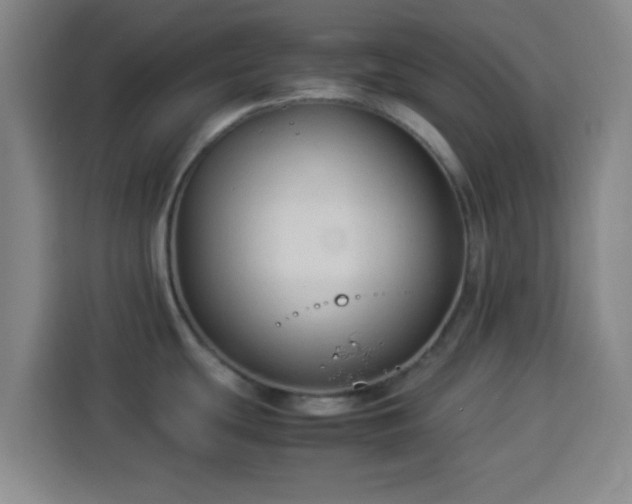 X0000113931439200910021233