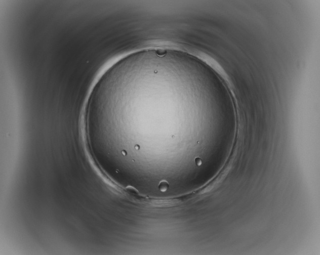 X0000113931440200910021233