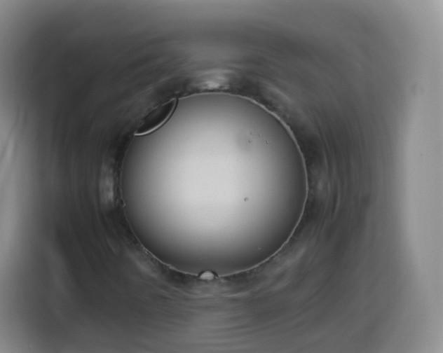 X0000113931442200910021233