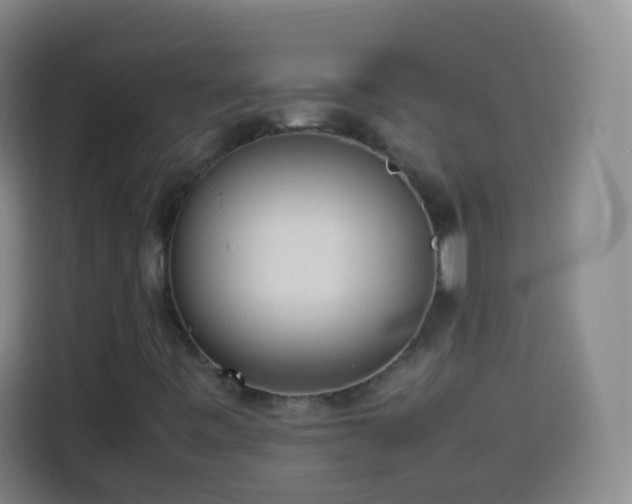 X0000113931443200910021233