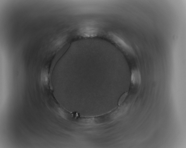 X0000113931444200910021233