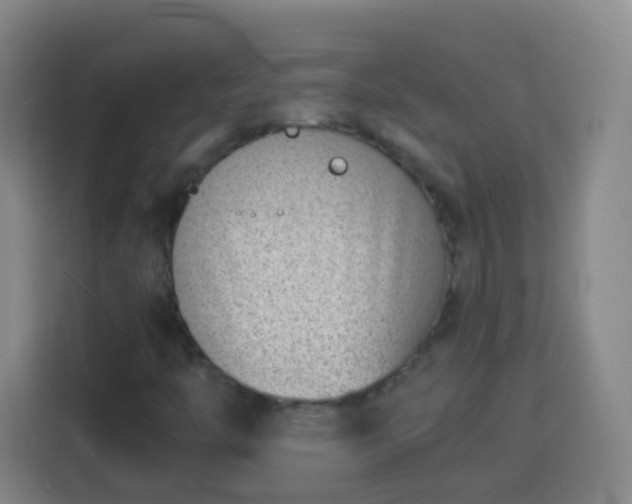 X0000113931446200910021233