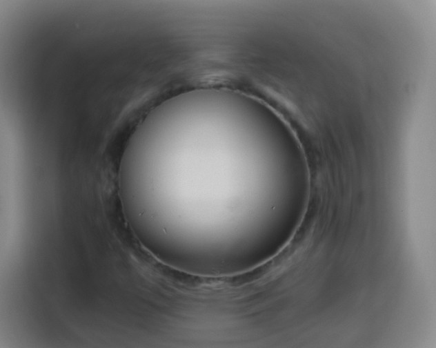 X0000113931447200910021233