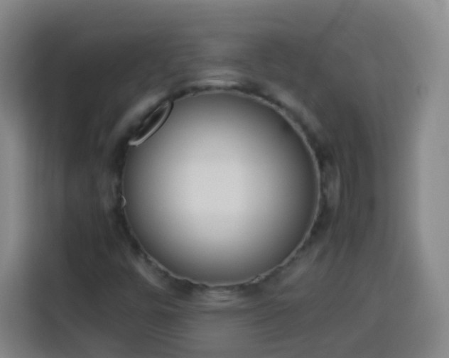 X0000113931448200910021233