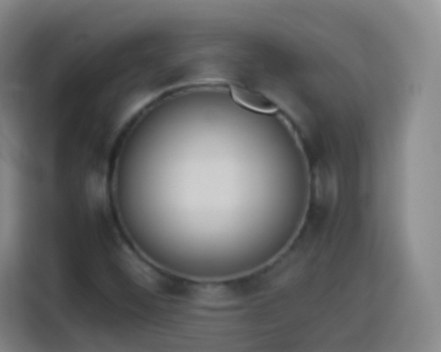 X0000113931452200910021233