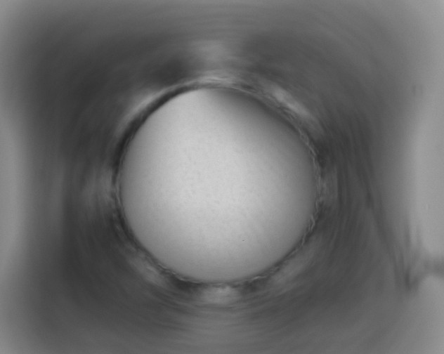 X0000113931454200910021233