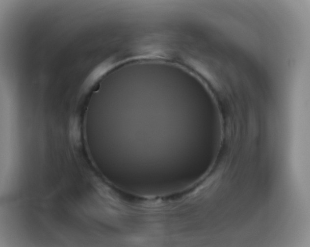 X0000113931455200910021233