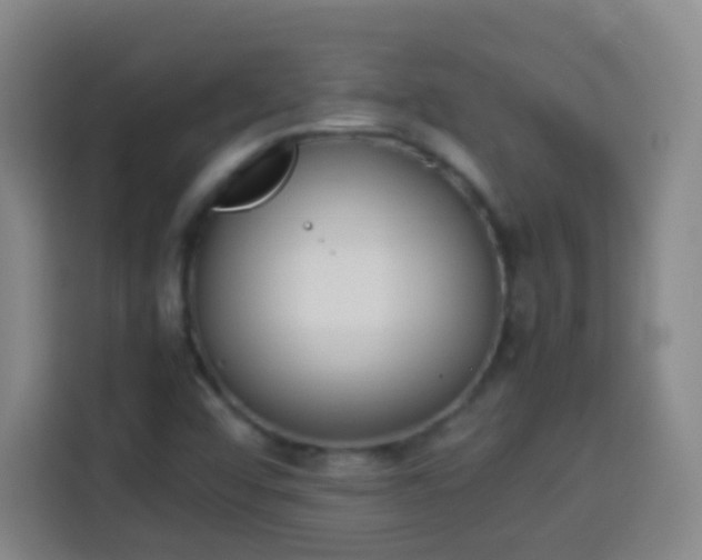 X0000113931456200910021233