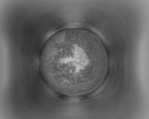X0000113931457200910021233