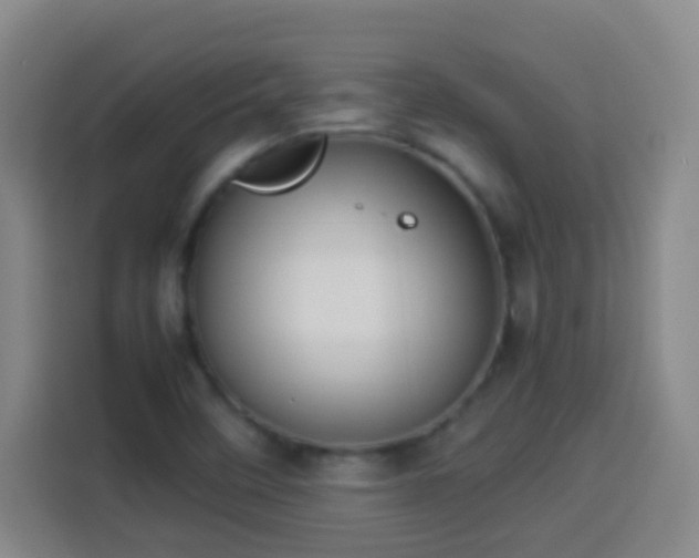 X0000113931458200910021233
