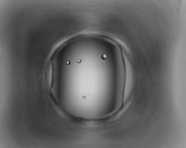 X0000113931461200910021232