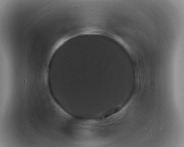 X0000113931463200910021232
