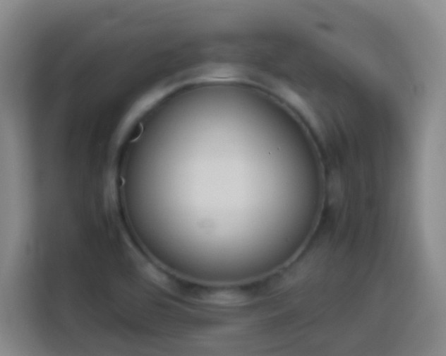 X0000113931464200910021232
