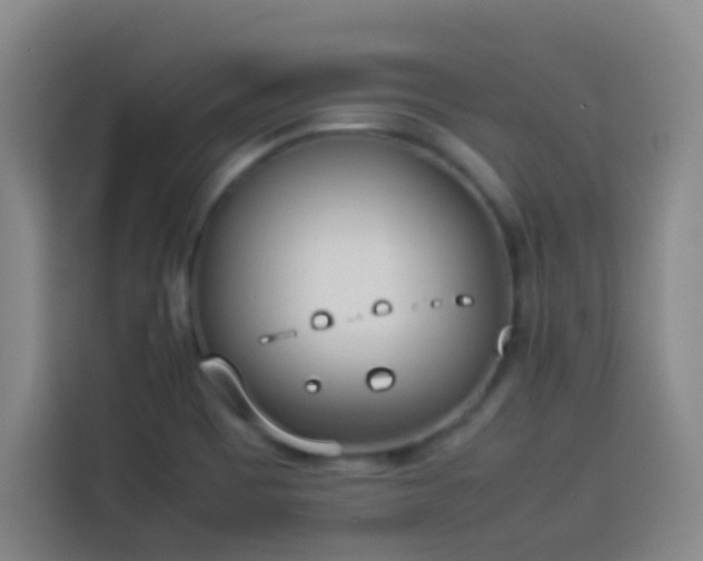 X0000113931465200910021232
