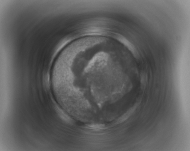 X0000113931466200910021232