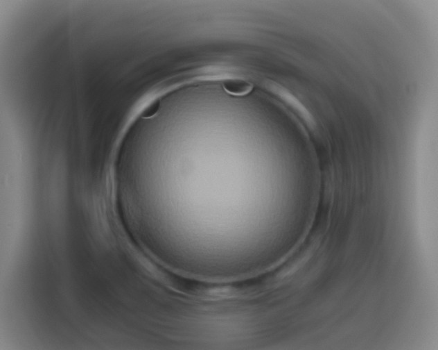 X0000113931467200910021232
