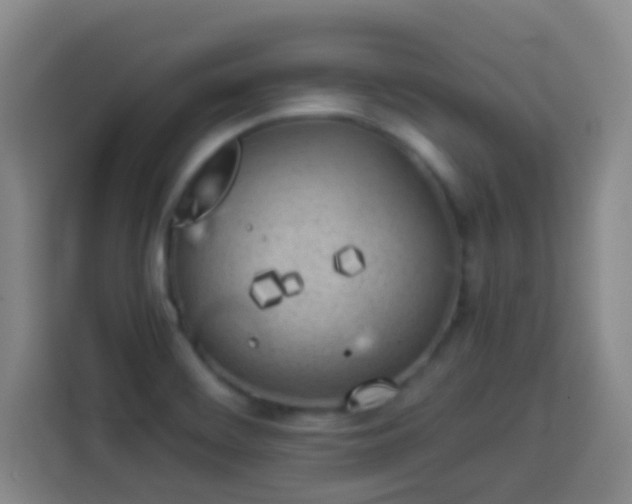 X0000113931468200910021232