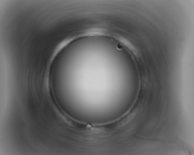 X0000113931469200910021232