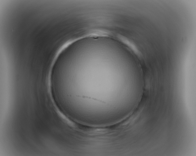 X0000113931471200910021232