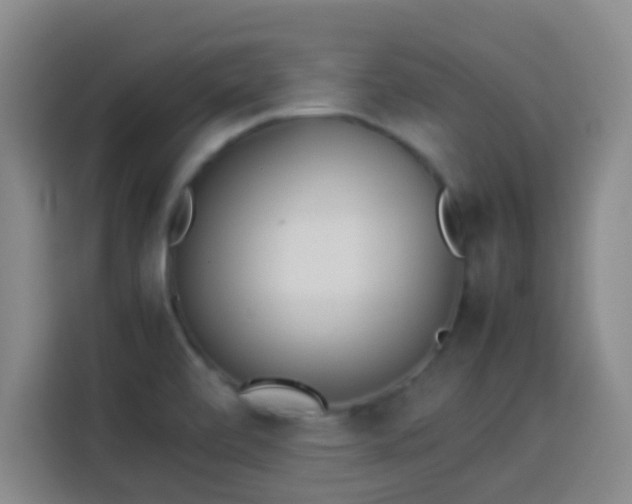 X0000113931472200910021232