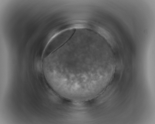 X0000113931473200910021232