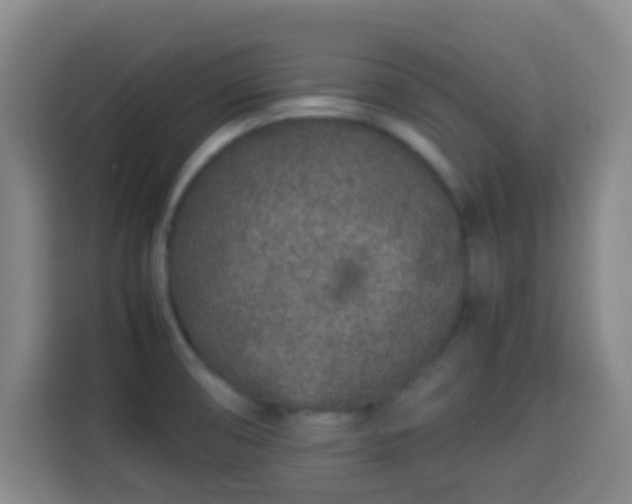 X0000113931474200910021232