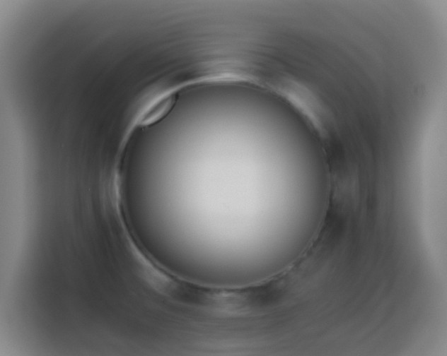 X0000113931476200910021232