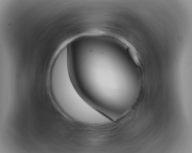 X0000113931477200910021232